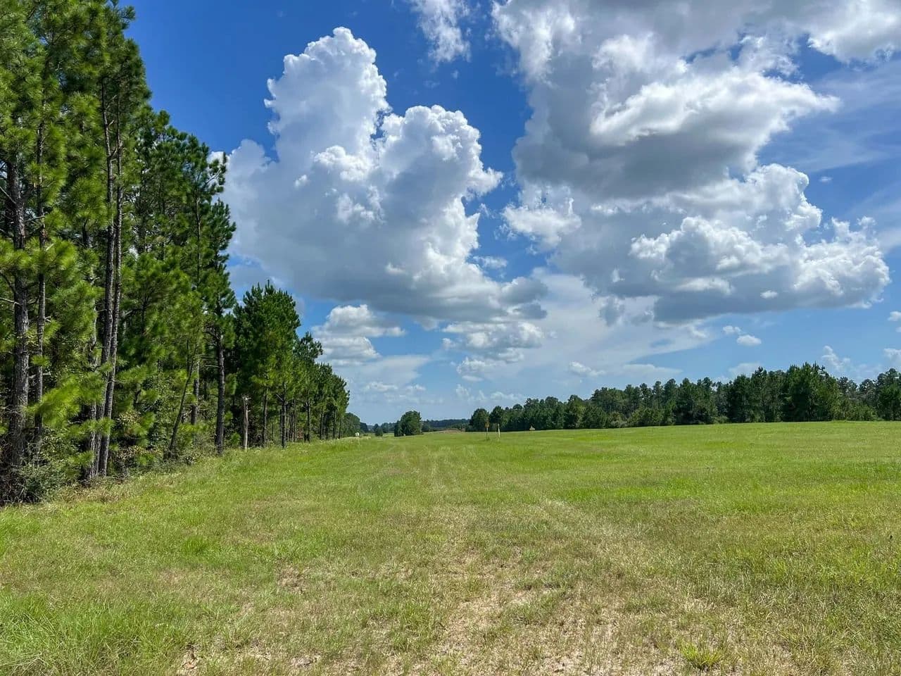 165 Acres | T-22B | State Highway 94 | Trinity Forest - Groveton, Texas, 75845