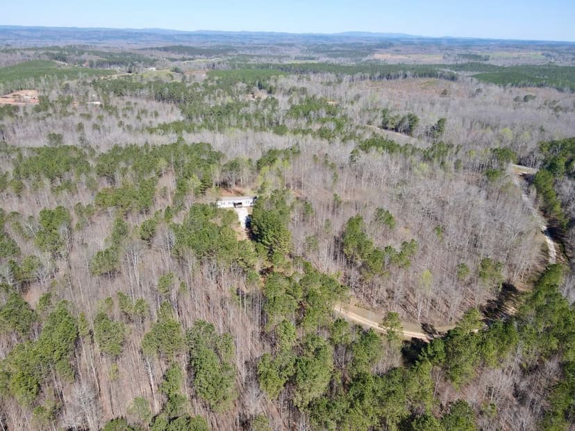 41 +/- acre Homestead Clay County, AL