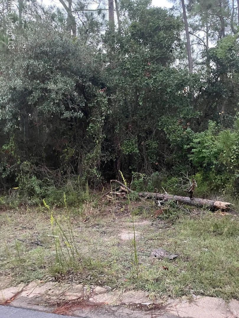 Lots & Land-Other in Pass Christian - Pass Christian, Mississippi, 39571