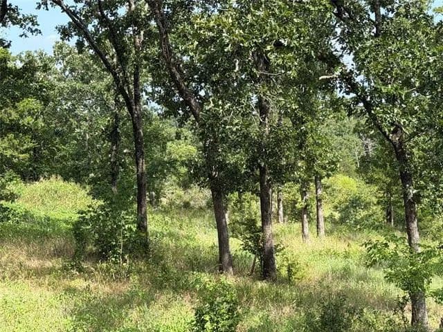 Vacant Land in McAlester - Mcalester, Oklahoma, 74501