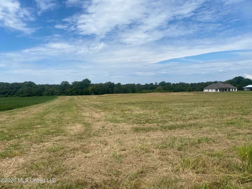 17 Acre Estate Lot in Pelahatchie, MS Rankin County