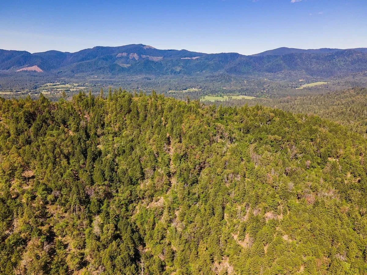 Coker Gap - Rogue River, Oregon, 97537