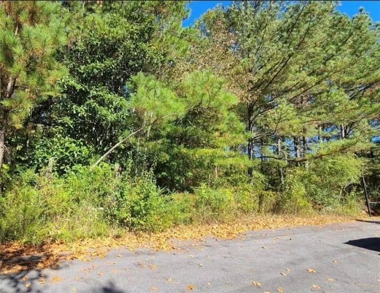 Vacant Land in Rome - Rome, Georgia, 30161