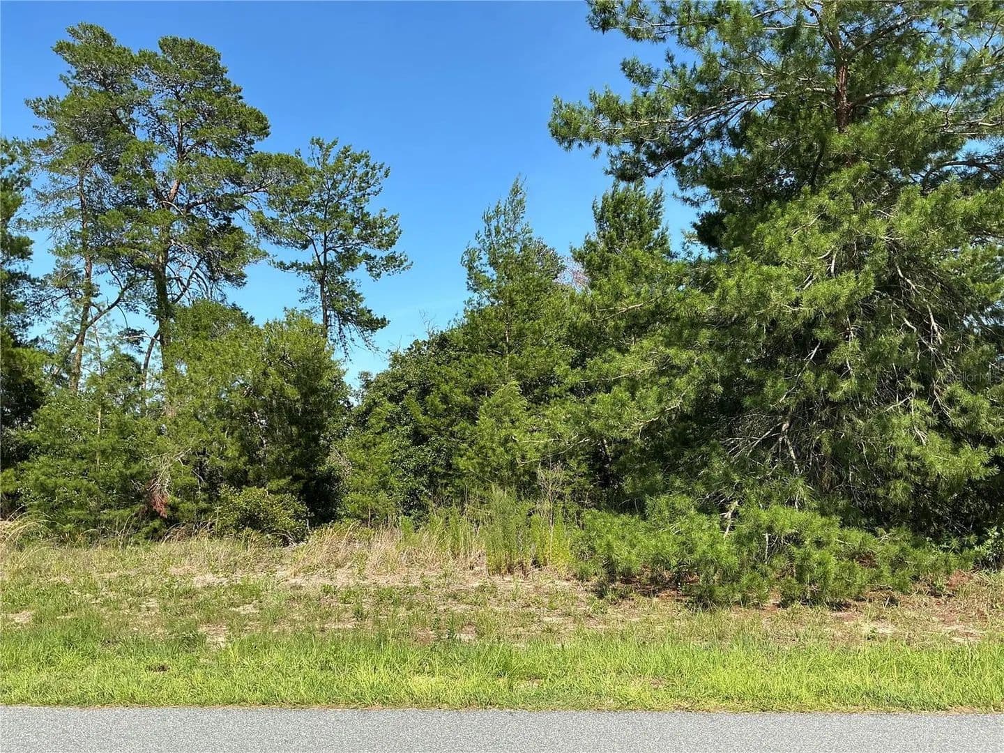 0.56 Acres of Land for Sale in OCALA, FL - Ocala, Florida, 34473