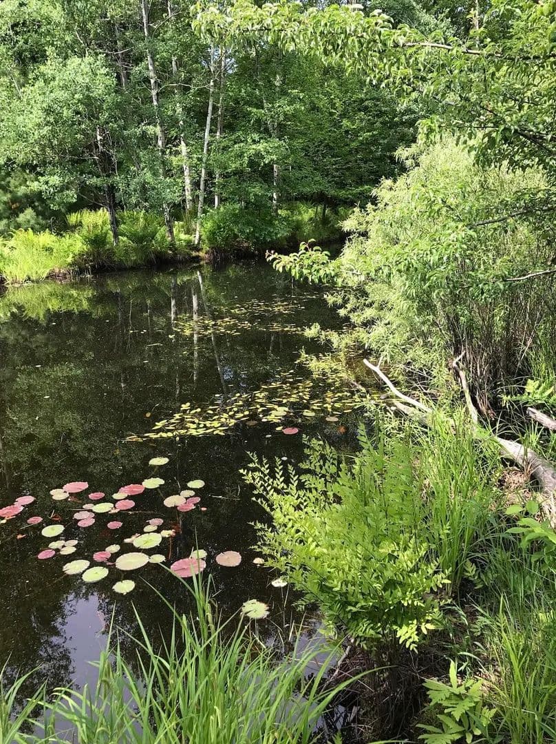 Property from 00 W Deborah Ann Trail - KW - , Michigan, 49630