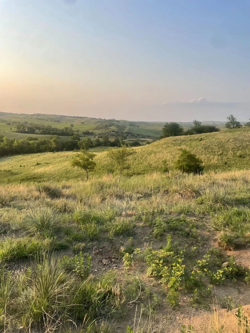 256.87 Acres +/- Rural Knox County, Nebraska - Niobrara, Nebraska, 68760