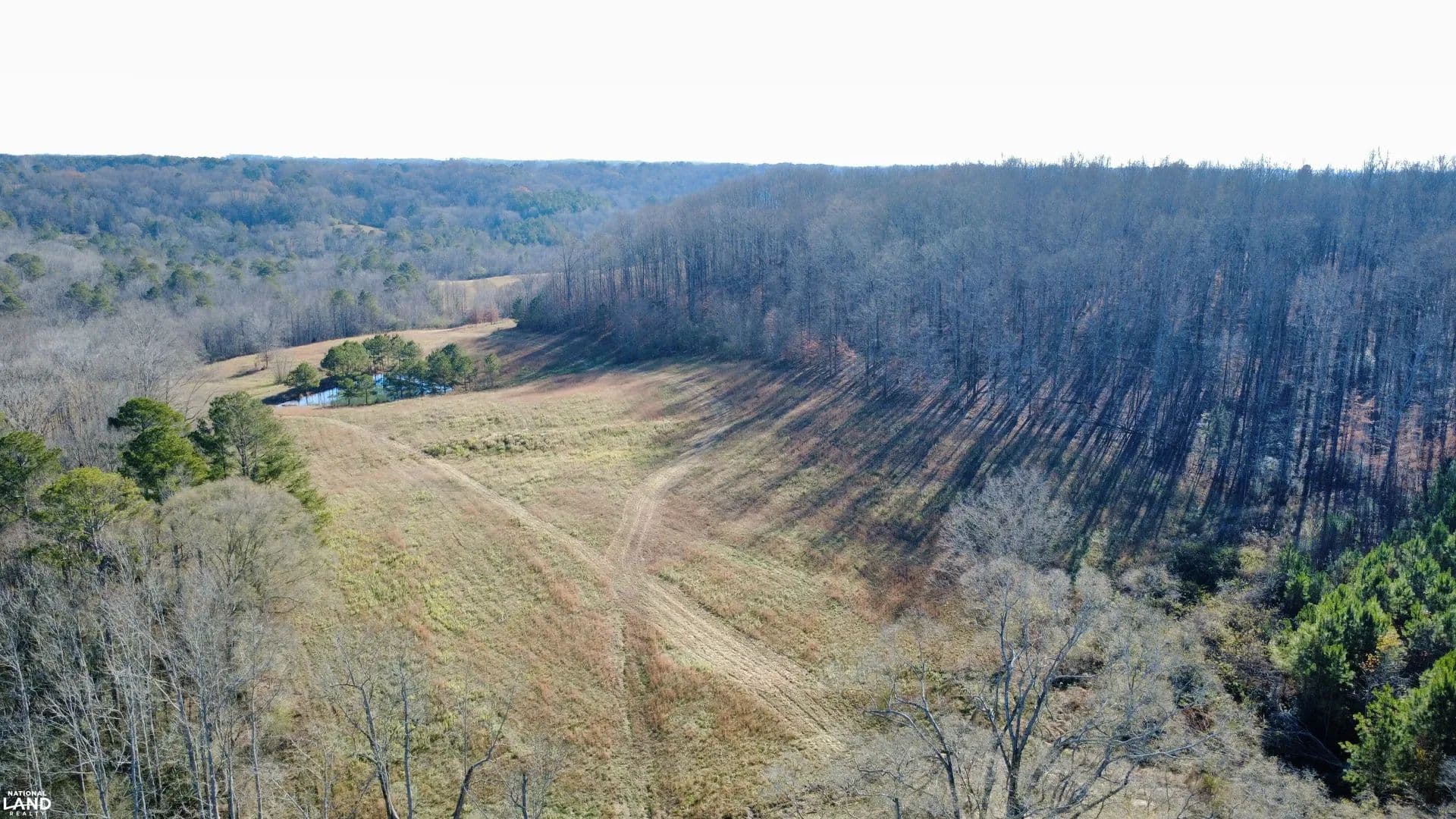 Chaney Branch Homestead 80 - Cullman, Alabama, 35057