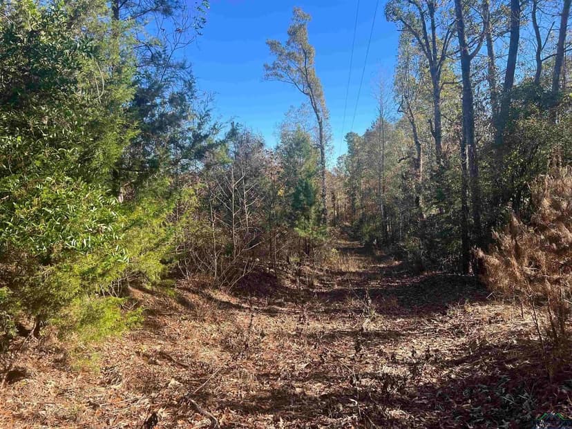 Lots & Land-Other in Queen City