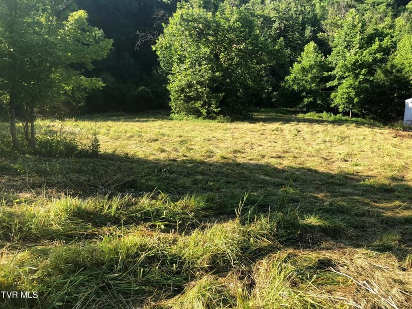Lots & Land-Other in Blountville