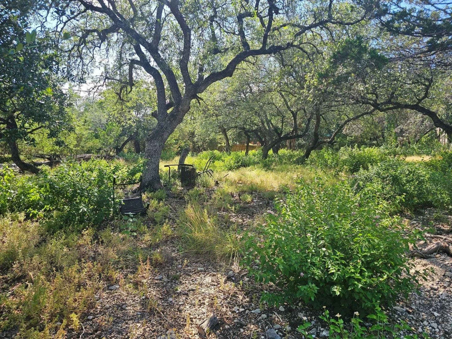 Land -Single Family Acreage in Spicewood - Spicewood, Texas, 78669