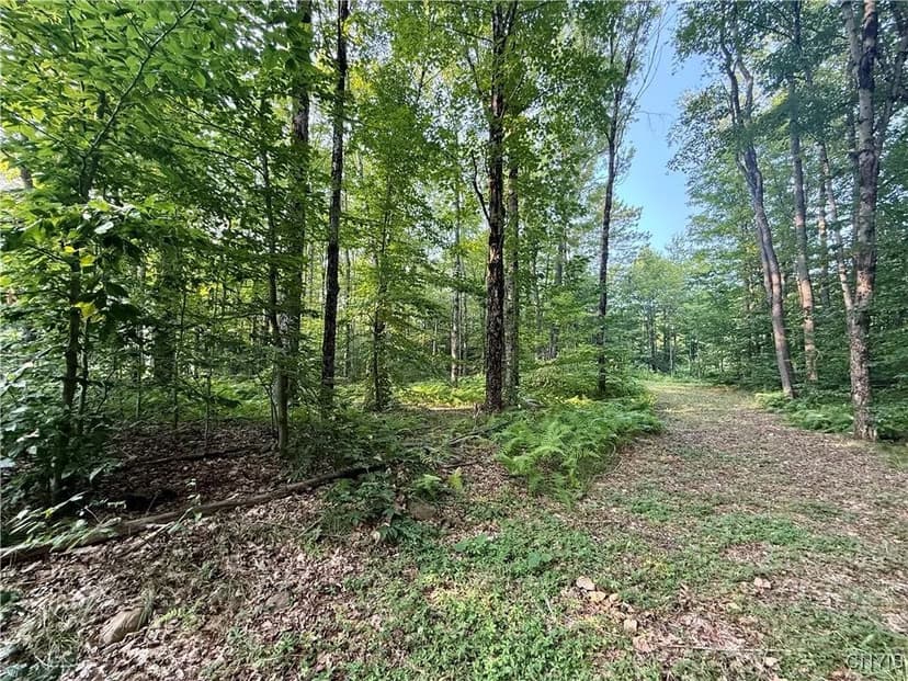 Property from 11470 River Road - KW