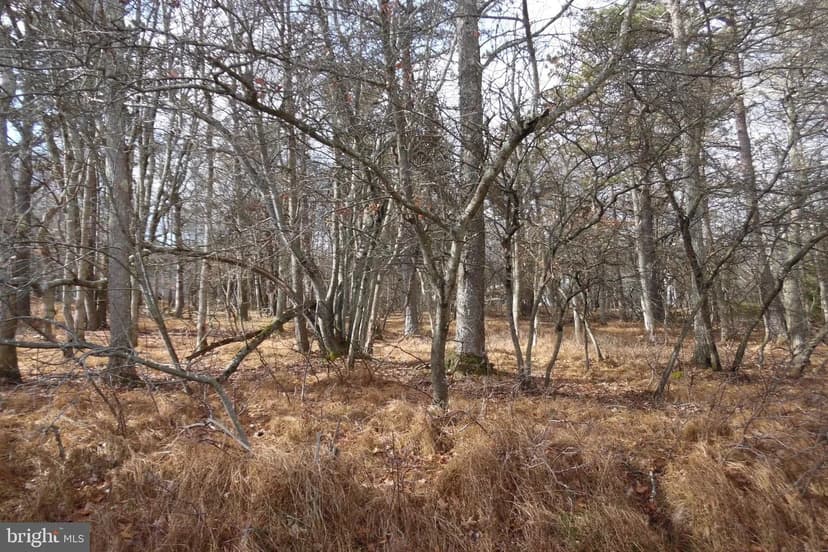 Vacant Land in Albrightsville