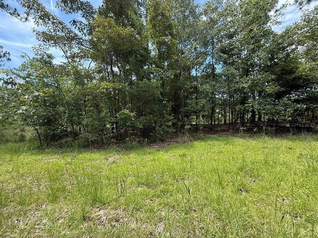 Lots & Land-Other in Donalsonville - Donalsonville, Georgia, 39845