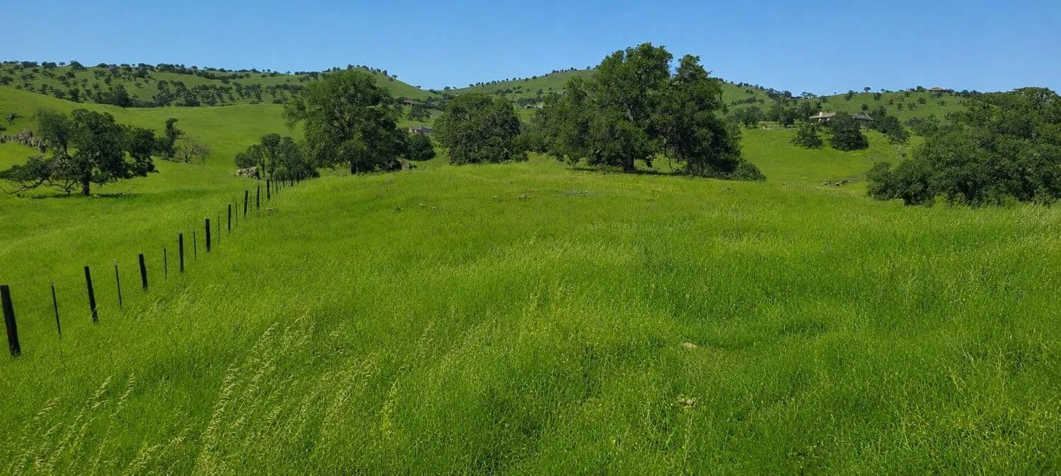 3.3 Acres of Land for Sale in La Grange, California - La Grange, California, 95329