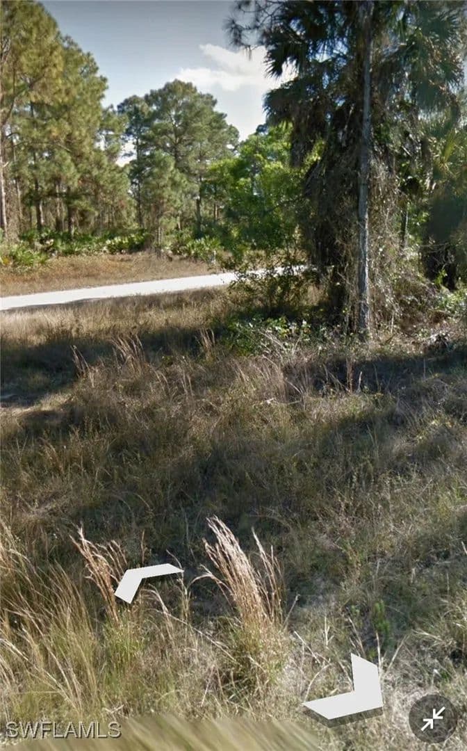 Vacant Land in Lehigh Acres - Lehigh Acres, Florida, 33974