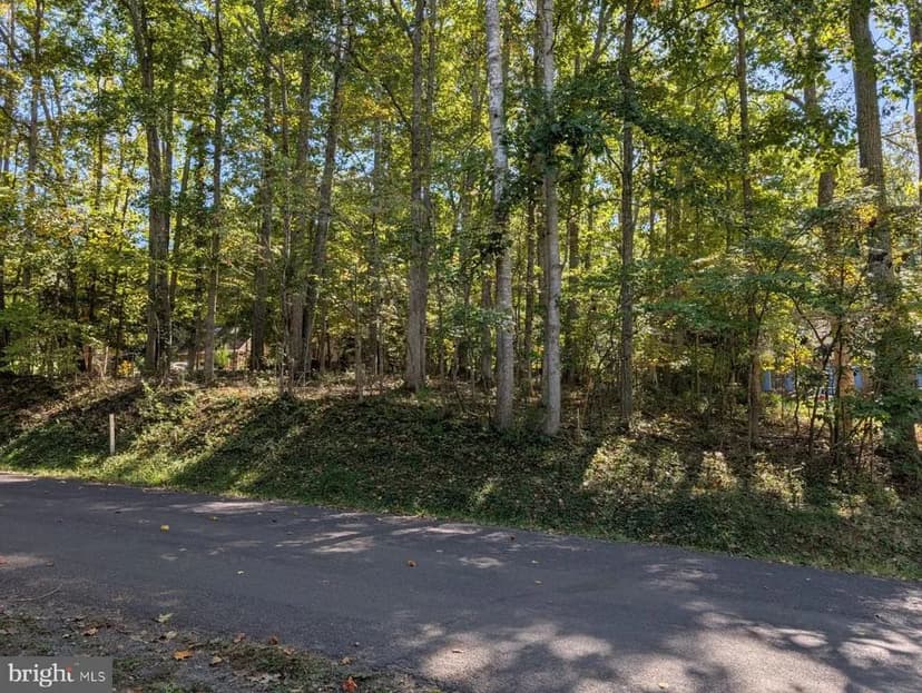 Vacant Land in Locust Grove