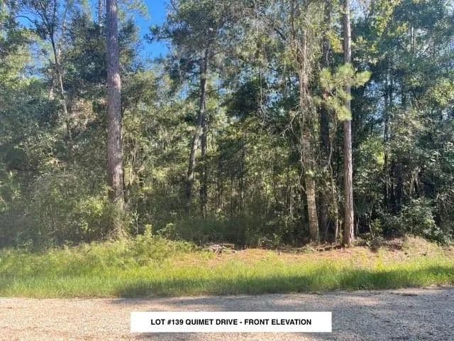Vacant Land in Abita Springs - Abita Springs, Louisiana, 70420