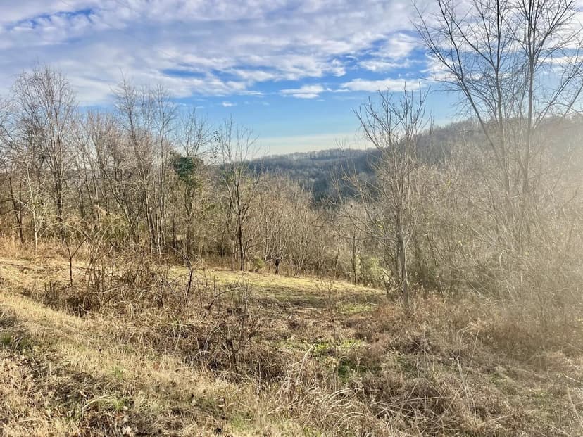 Property from 0 Old Lake Road - KW