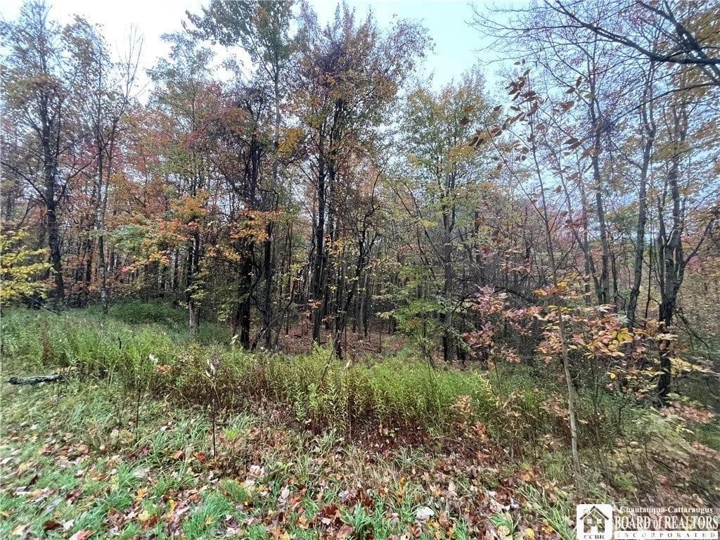 Lots & Land-Other in Cassadaga - Cassadaga, New York, 14718