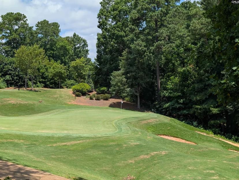 Vacant Land in Blythewood