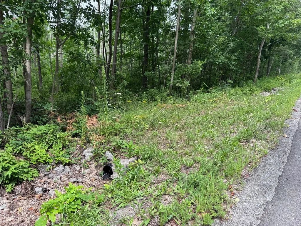 5 Acres of Land for Sale in Conesus, NY - Conesus, New York, 14435