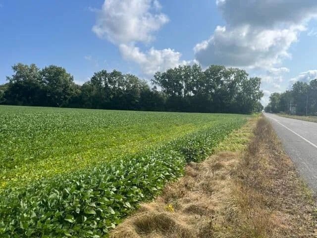 Vacant Land in New Buffalo
