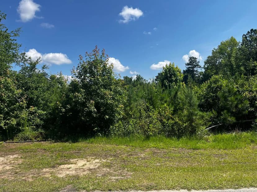 Lots & Land-Other in Wrens