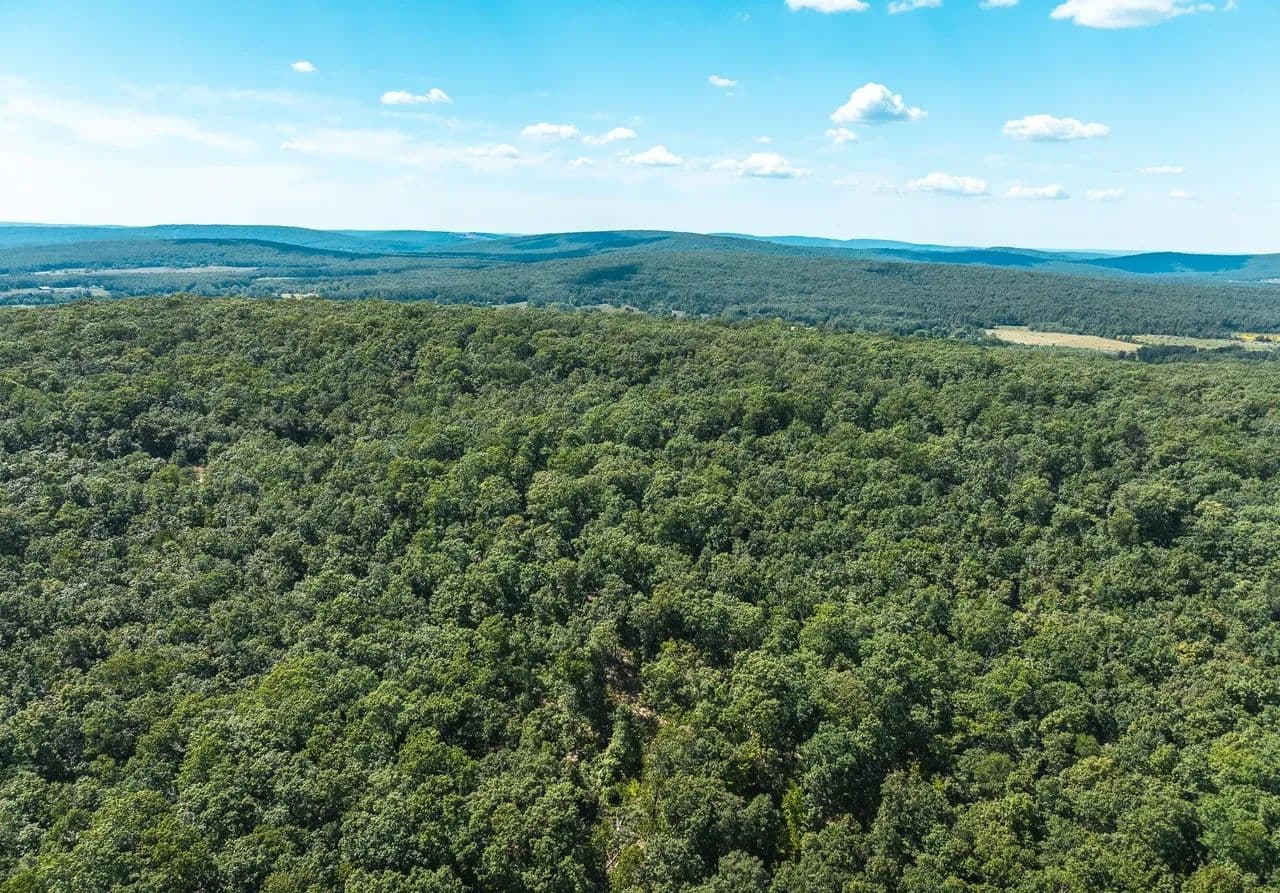Buck Mountain Road Tract 5 - Doe Run, Missouri, 63637