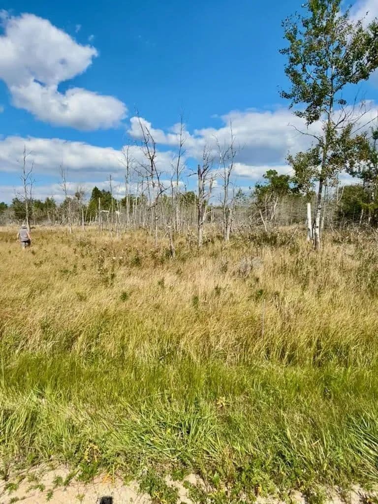Lots & Land-Other in Onekama - Onekama, Michigan, 49675