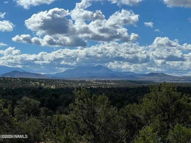 Lots & Land-Other in Williams - Williams, Arizona, 86046