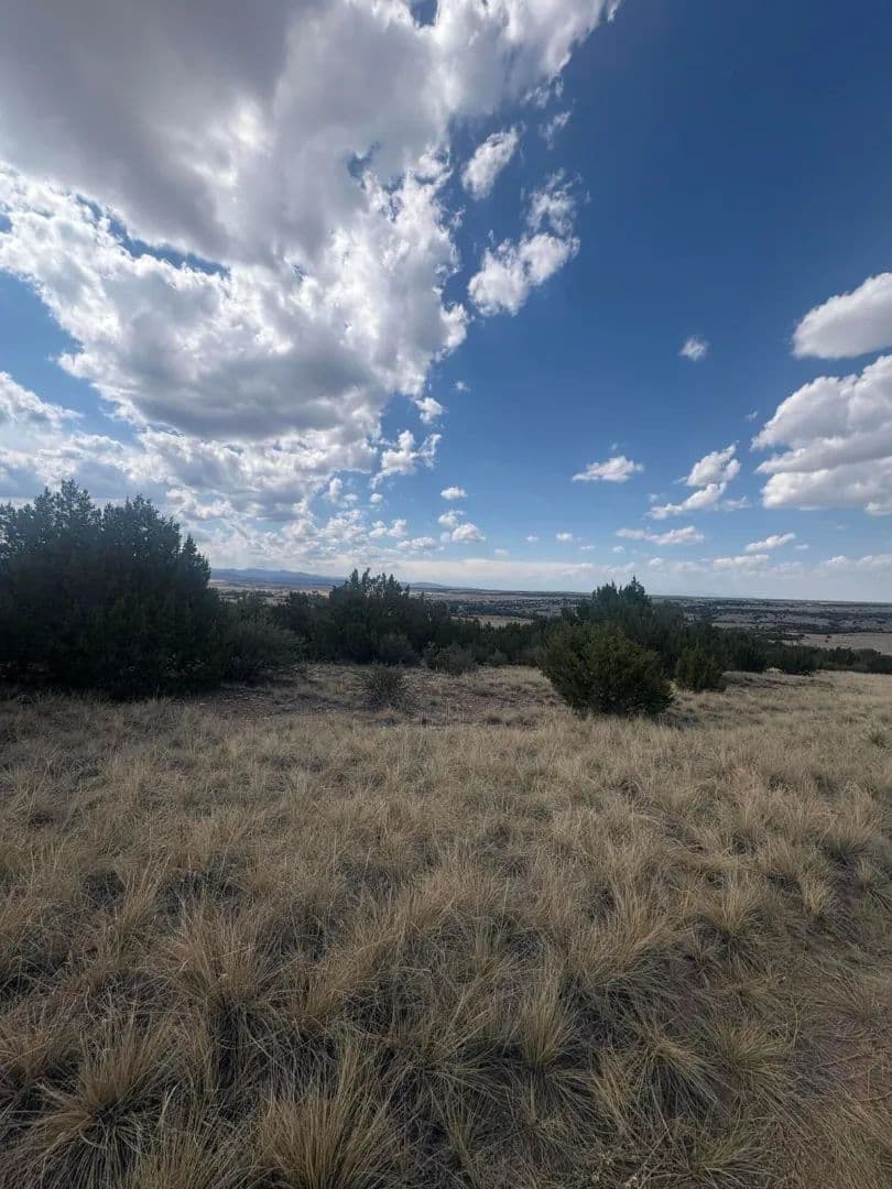  Lot 558 Mount Shavano, Colorado City, CO 81019 - Colorado City, Colorado, 81019