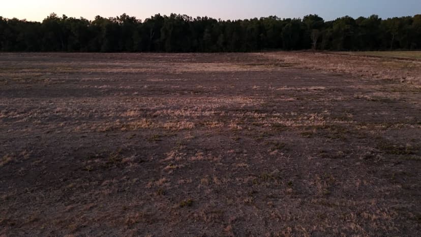120 Acres in Tensas Parish, LA 
