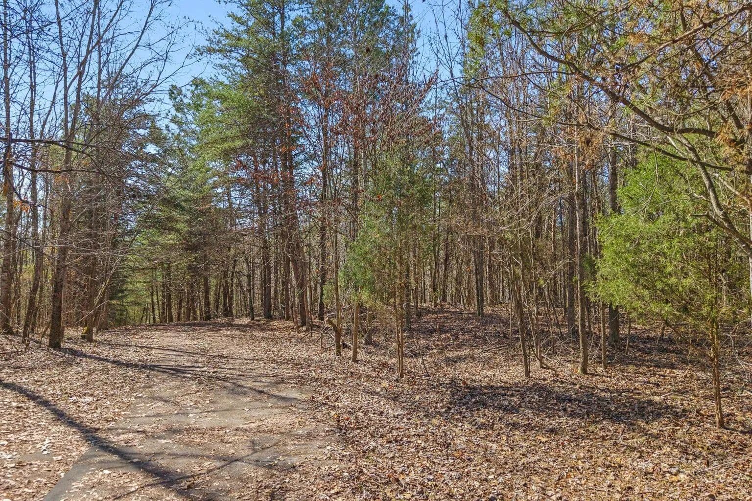 Lots & Land-Other in Spring City - Spring City, Tennessee, 37381