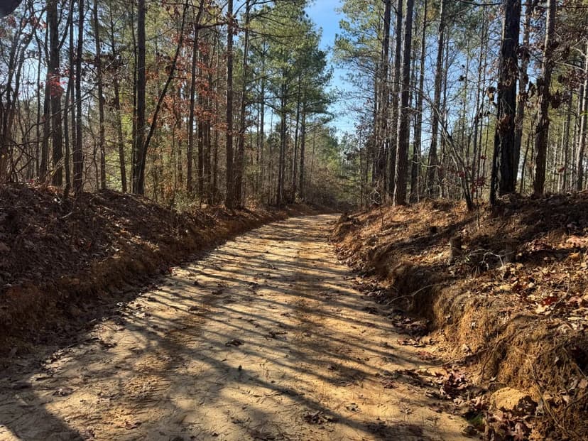 194 Acres in Lafayette County, MS 