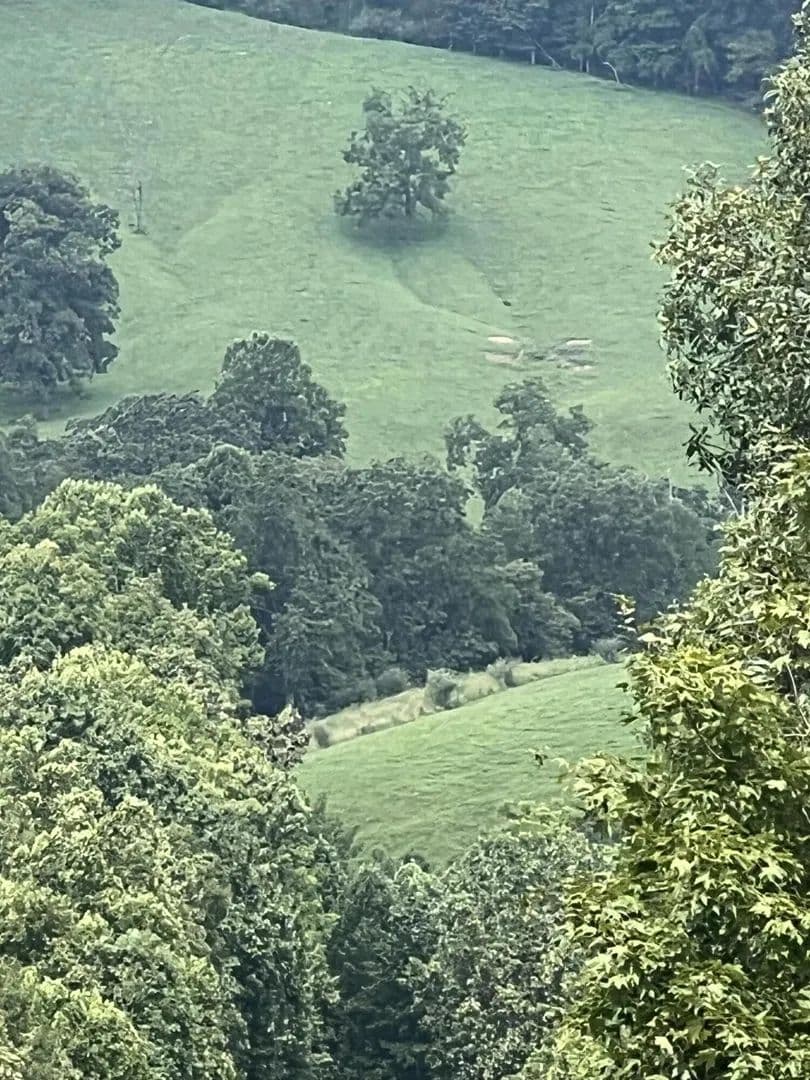 Lots & Land-Other in Napier - Napier, West Virginia, 26631