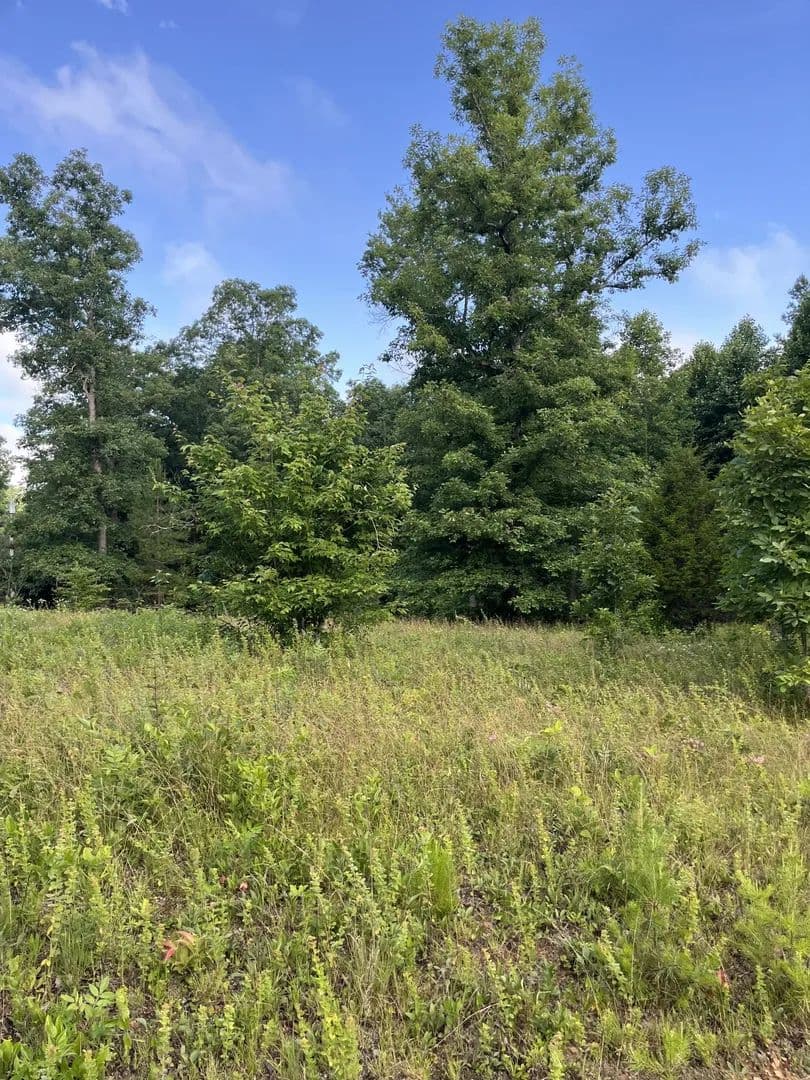 Lots & Land-Other in Altamont - Altamont, Tennessee, 37301