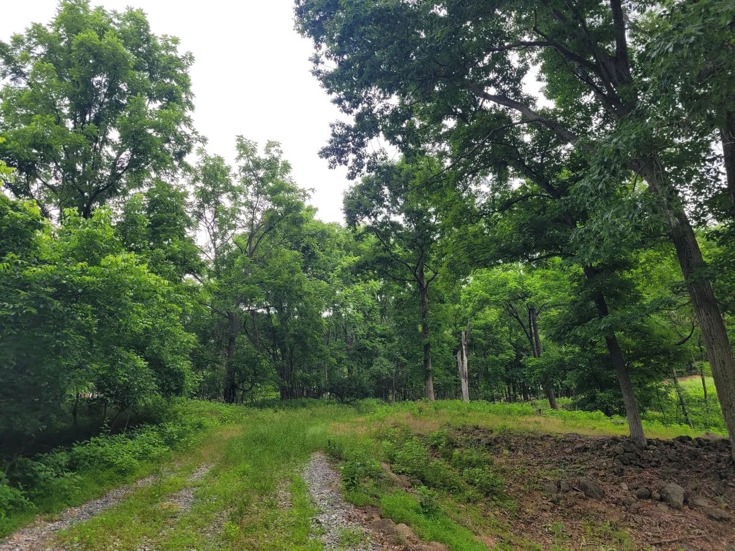 Property from 0 Murray Hollow RD - KW - Thaxton, Virginia, 24174