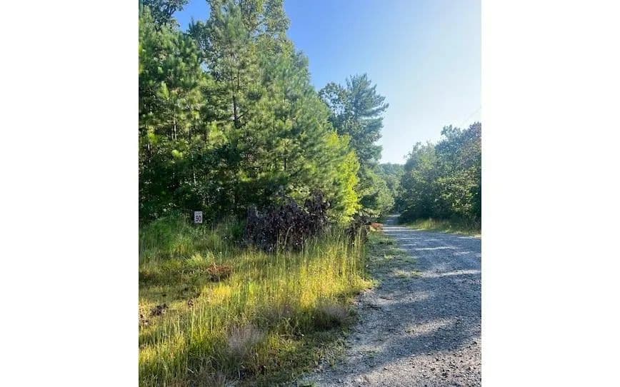 Lots & Land-Other in Ellijay - Ellijay, Georgia, 30540