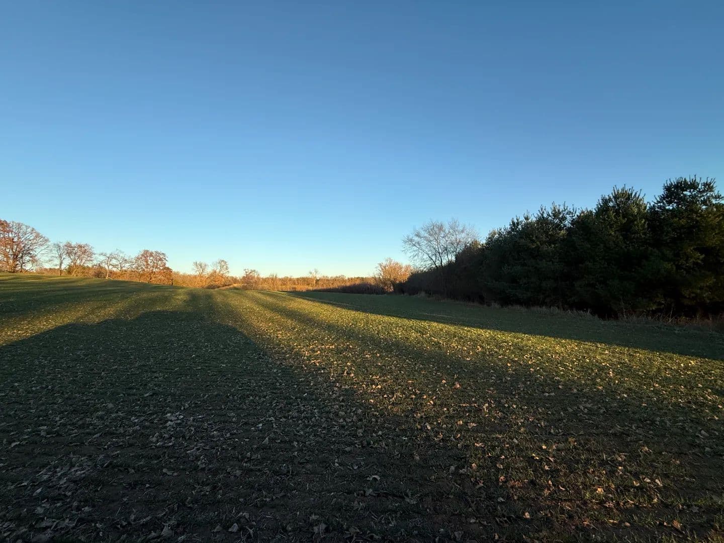 92+/- Acres of Hunting Land in Green Lake WI - Green Lake, Wisconsin, 54941