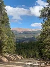 Lots & Land-Other in Leadville