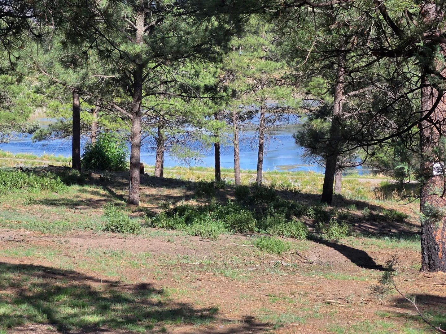 Land -Single Family Acreage in Alto - Alto, New Mexico, 88312