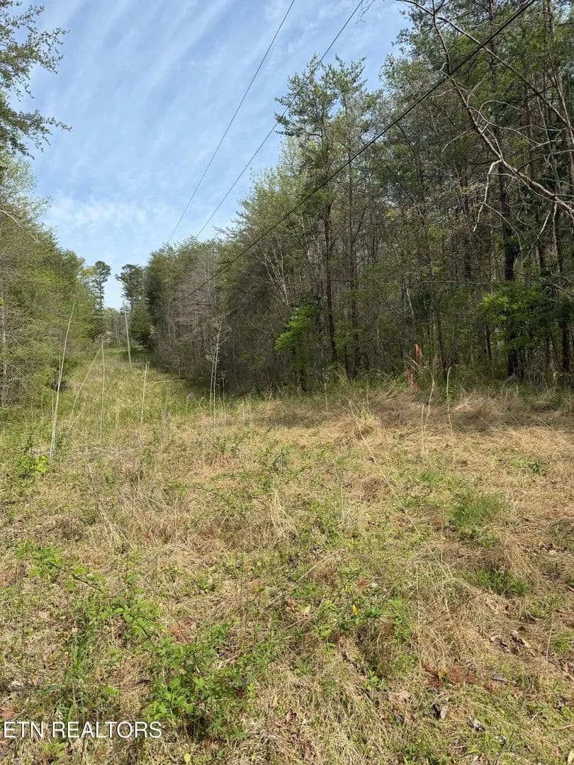 Property from Citico Rd - KW