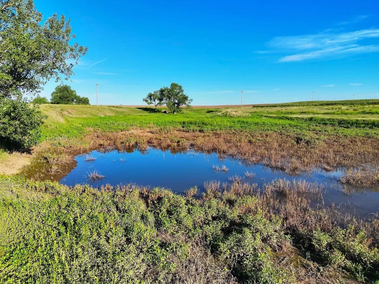 CRP Creek Bottom Recreational Property with Potential Building Sites - Ovid, Colorado, 80744