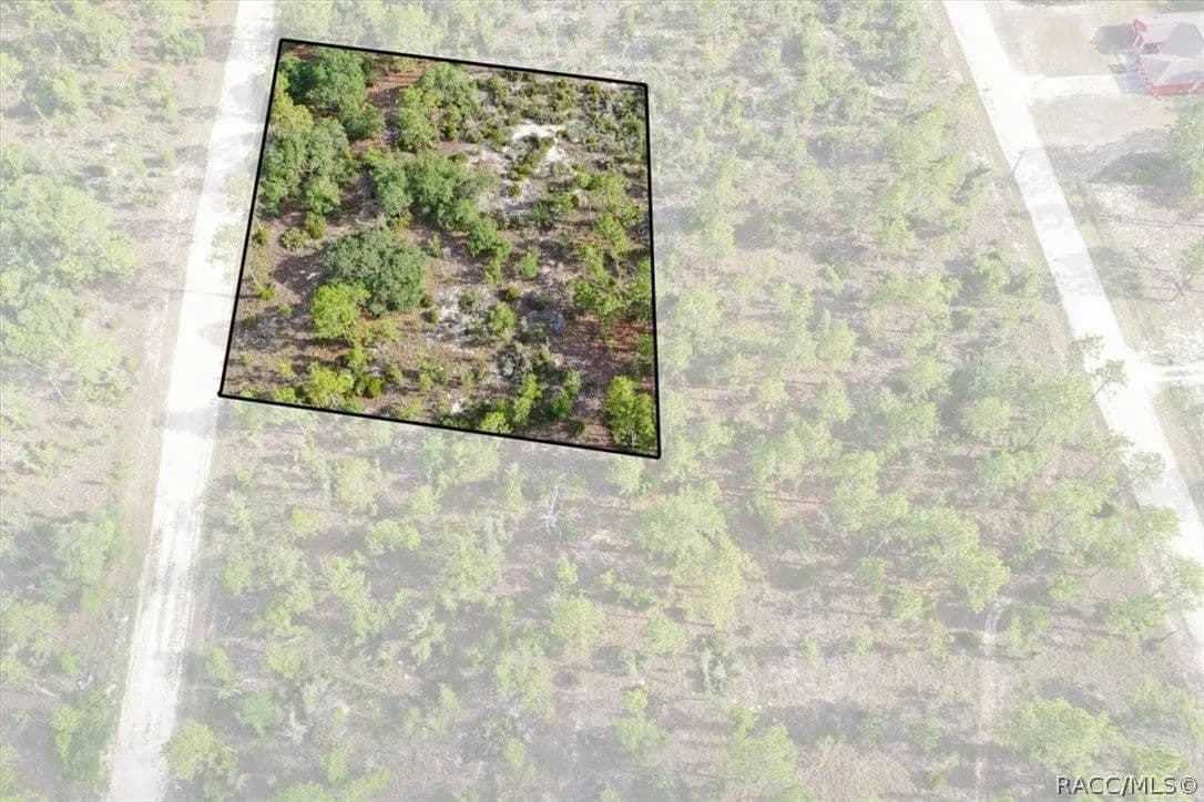 Lots & Land-Other in Williston - Williston, Florida, 32696
