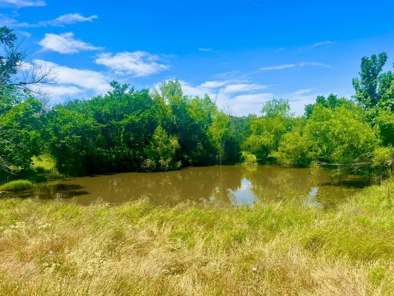 2 Acres of Land for Sale in Poolville, TX - Poolville, Texas, 76487