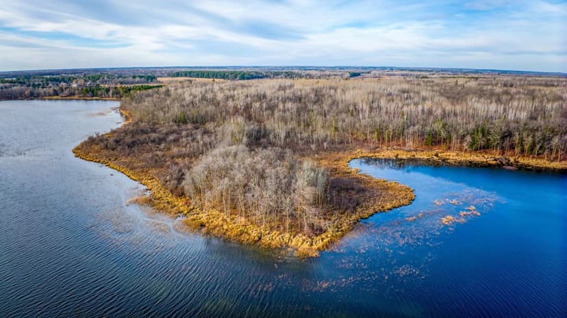 Vacant Land (10+ Acres) in Bemidji