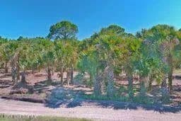 Vacant Land in Cocoa - Cocoa, Florida, 32927