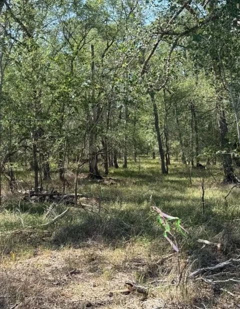 Land -Agricultural (Not Zoned) in Sutherland Springs - Sutherland Springs, Texas, 78161