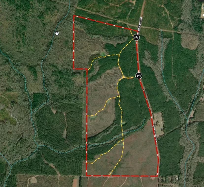 205 +/- acres in Meriwether County