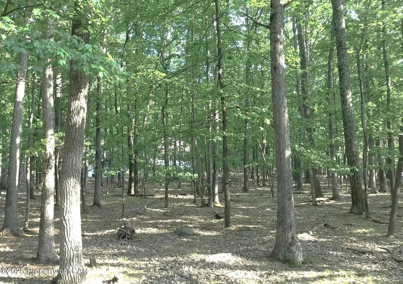 Lots & Land-Other in Hazle Twp